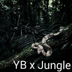 Yb - Jungle