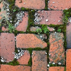 Mary Jane's Last Dance