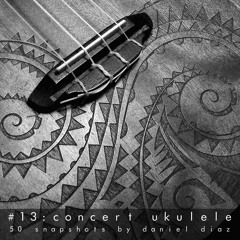 Snapshot 13 Ukelele Concert