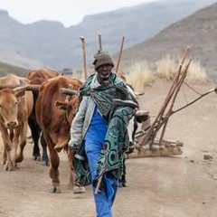 Kinders van die wind.MP3