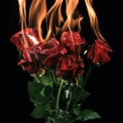 "1993" Flowers In The Attic : Bad Newz - Feat : Mal Blak