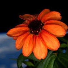 In The Void - Space Out Music UPDATED