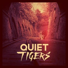 QUIET TIGERS - Robot dolphins on drugs (WITH MOTHERF*CK*NG LASER BEAMS)
