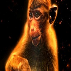 Red Fire Monkey
