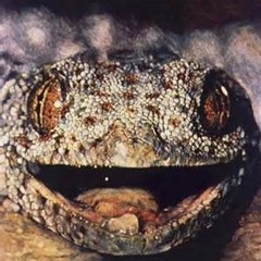 Reptilparken Prod. けｍ SURF