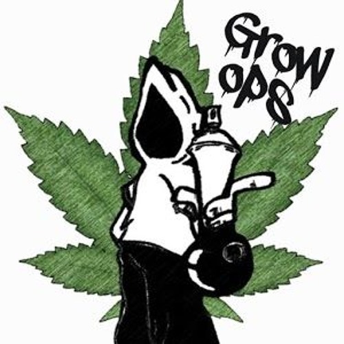 Weed Grow Ops