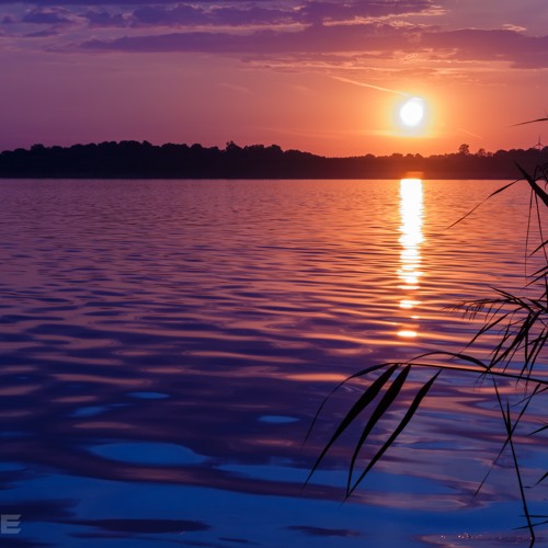 FRU:TEE - Without You (soft Pre - Master)