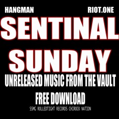 THE SENTINALS : WHEN IT RAIN IT POURS