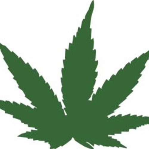 Stuff I Like And You Should Too