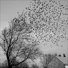 ي ليلُ ي بحر السُكون ♥