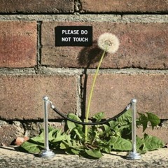 And so you'll sacrifice