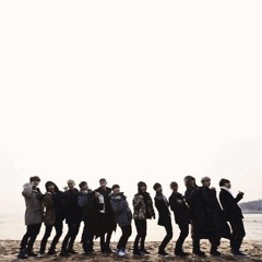 Promise - EXO [Music Box]