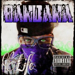 Dummy The Hard Way Still Ruff