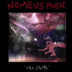 Nomeus Trio - Just Wandered In