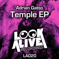 Adrian Gatto - ElGatto (Original Mix)