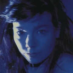 Björk - Possibly Maybe (2)