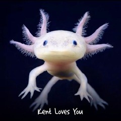 Kick Me When I'm Down (acapella beginning)