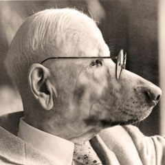 13 The Old Dog