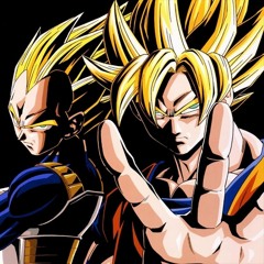 DBZ Cha-La Head-Cha La 2005