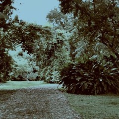 Naguanagua norte
