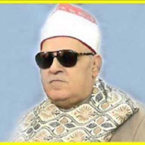 الشيخ أحمد أبو المعاطى _ ما تيسر من يوسـف والرعـد
