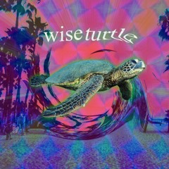 warmflo - wise turtle
