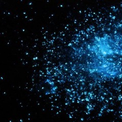 ハルキゲニア。