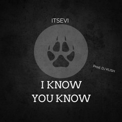 ITsEvi - I Know You Know [ Free Download ]
