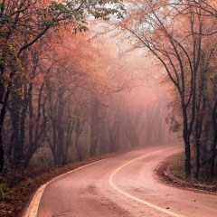 Ricky Wu - 明知故犯