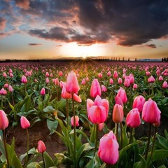 On Est Bien Comme Ça - Vianney