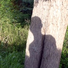 everything happens by itself