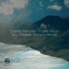 Charles Fenckler - Frozen Room (Soma 450d)