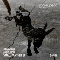 Tomas Drex, Andre Lesu - Small Panther (Original Mix)