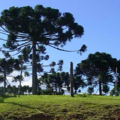 OXALÁ - Oní Sé A Àwúre  A Nlá  Jé