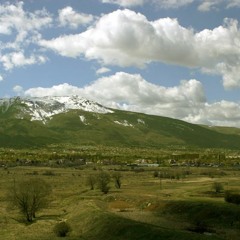 horses on mount vitosha