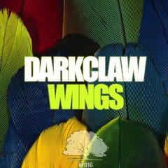 Wings (Original Mix)[NICE FOREST RECORDS]
