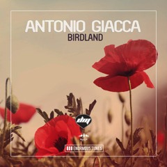 Antonio Giacca - Birdland (Original Mix)