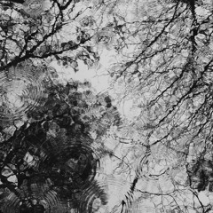 Jenia Tarsol - Last Winter Drops