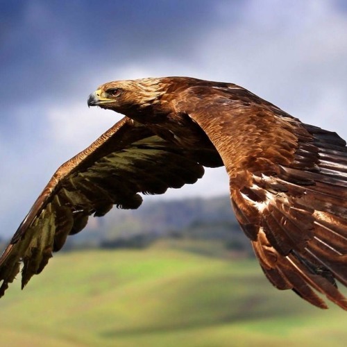 2016 YOUR TIME IS NOW  3