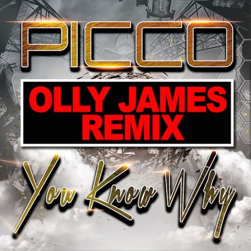 Picco - You Know Why (Olly James Remix)