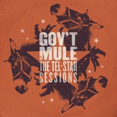 Gov't Mule - Just Got Paid