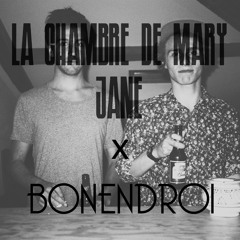 A Mixtape for Bonendroi