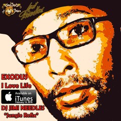 I Love Life (DJ Jimi Needles Jungle Refix)