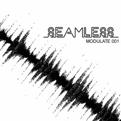 Seamless - Modulate 001 (podcast)