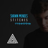 Stitches - Shawn Mendes, Hailee Steinfeld Cover ("Tropical House" Levi Remix) *FREE DOWNLOAD*
