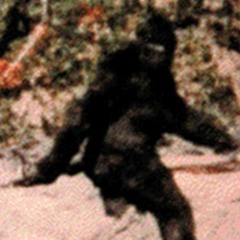 Sasquatch