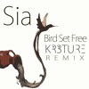 Sia Bird Set Free Kr3ture Remix Mp3