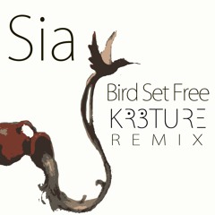 Sia - Bird Set Free (KR3TURE Remix)