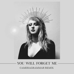 Mothica - You Will Forget Me (cameragrammar flip)