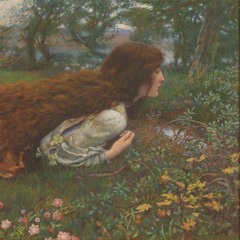 Sha And Syl - Where Corals Lie